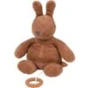 Nattou Peluche Musical Susie & Bonnie Lapin Rouille 2 Nattou Peluche Musical Susie & Bonnie Lapin Rouille -Nattou 6648855 0