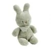 Nattou Peluche Tipidou Vert -Nattou 7669276 0